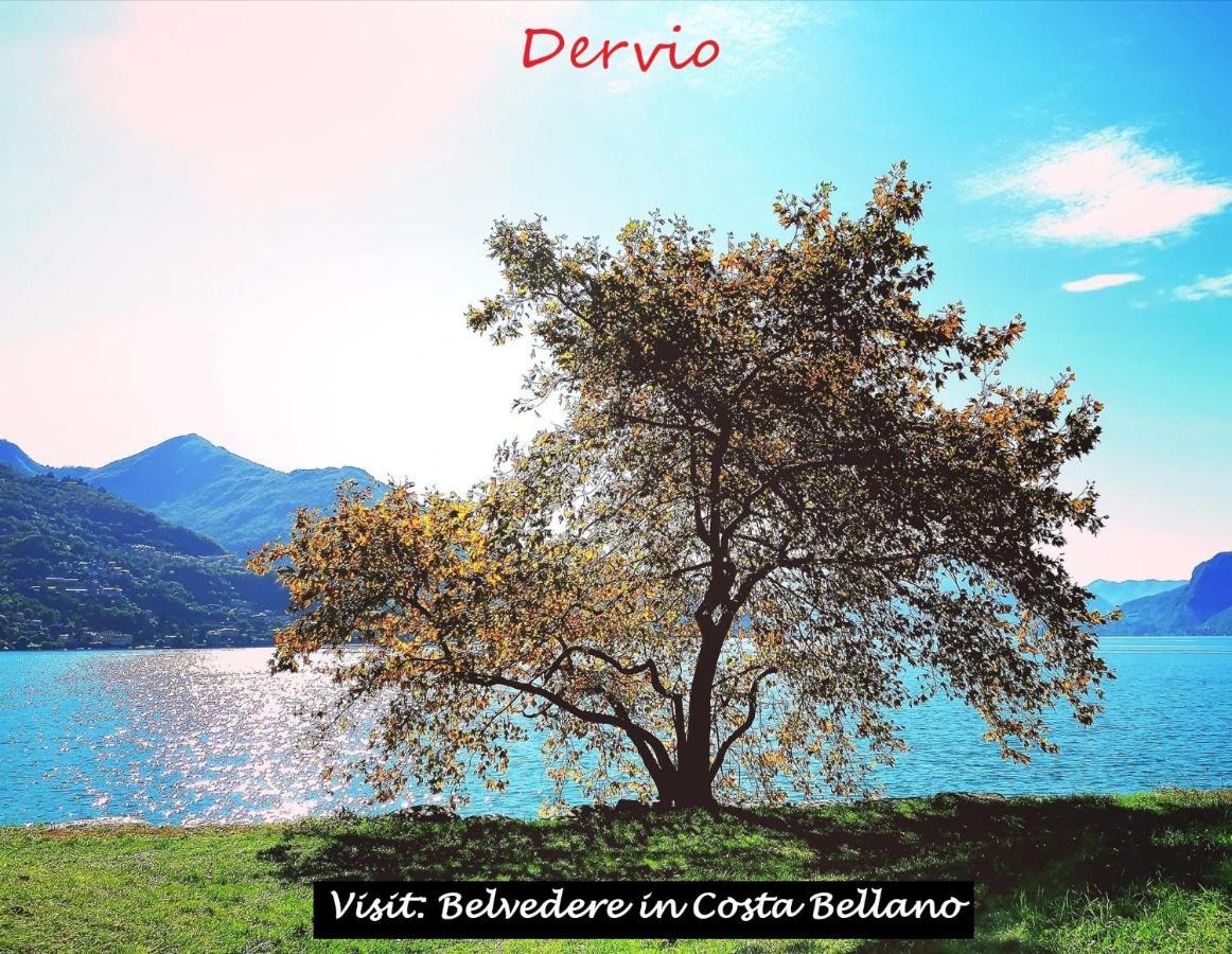 Belvedere In Costa - Lake View Bellano Zewnętrze zdjęcie